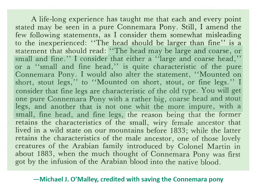 MIchael J. O'Malley describing the best Connemara type