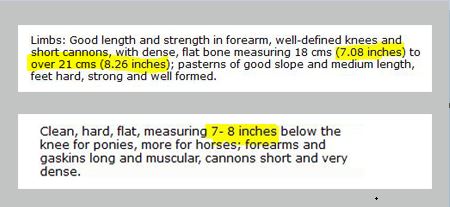 ACPS inspection criteria versus breed standard. Note the "over" on the inspection criteria for cannon bone.