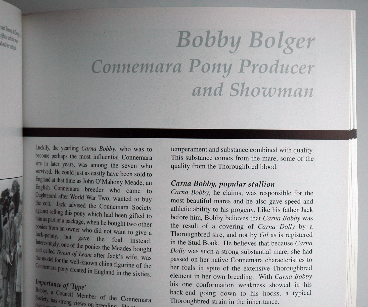 Stallion Carna Bobby is three quarters Thoroughbred, according to Bobby Bolger, whose father bred the stallion